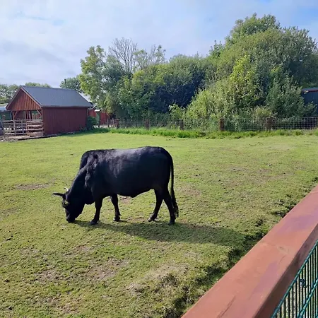 In St Peter-ording 公寓 *