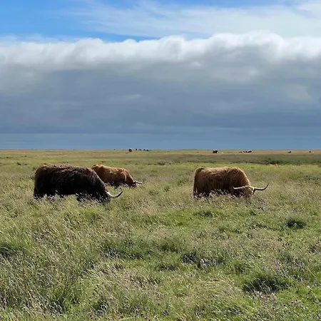アパート In St Peter-ording *