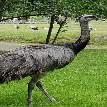 In St Peter-ording * ザンクト・ペーター・オルディング