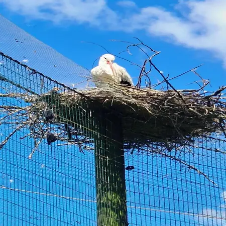 アパート In St Peter-ording