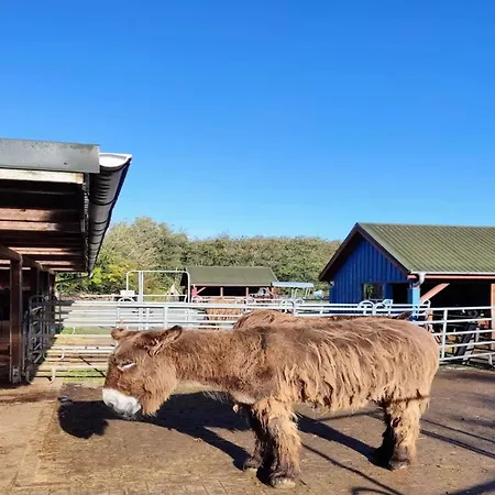 In St Peter-ording 公寓