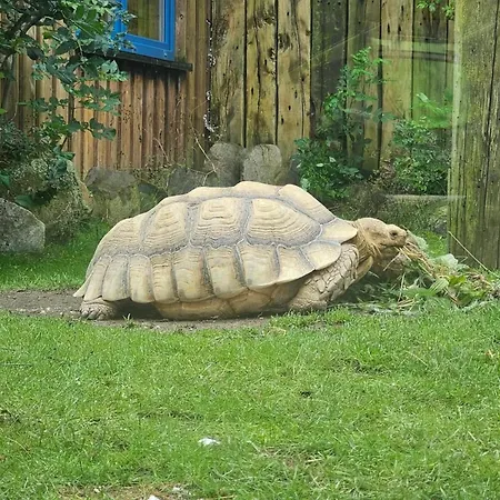 In St Peter-ording アパート *
