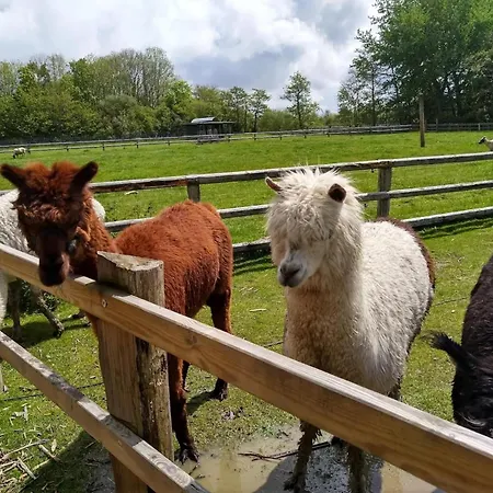 In St Peter-ording * ザンクト・ペーター・オルディング