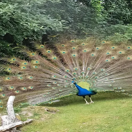 アパート In St Peter-ording