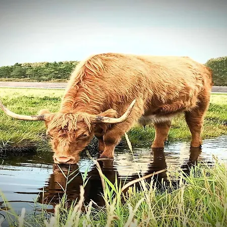 In St Peter-ording 公寓 圣彼得奥尔丁
