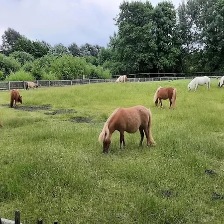 In St Peter-ording ザンクト・ペーター・オルディング